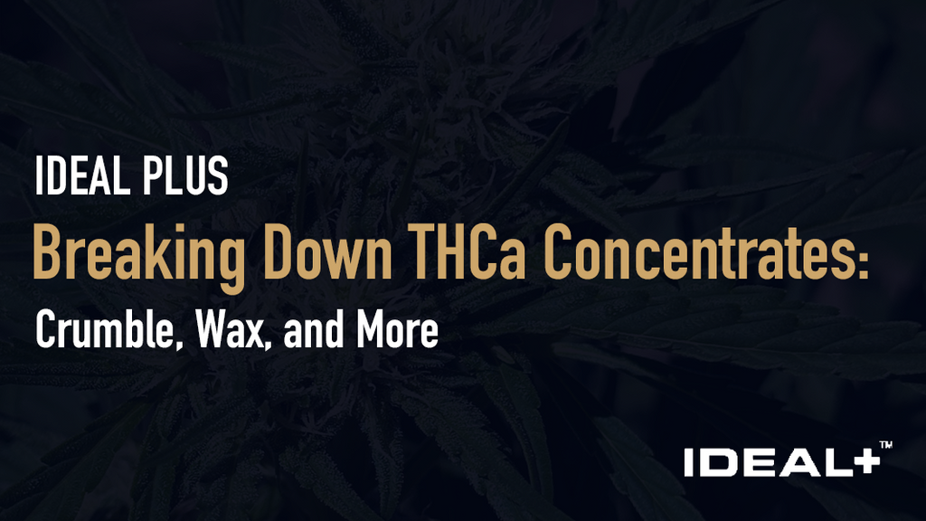 Breaking Down THCa Concentrates: Crumble, Wax, and More