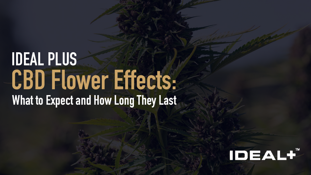 CBD Flower Effects