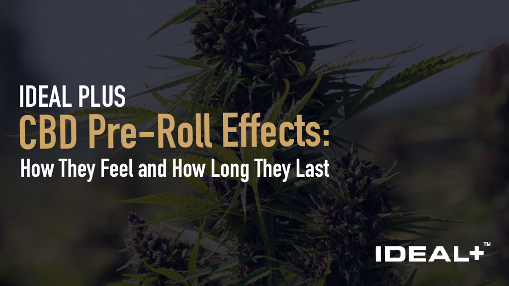 How do CBD pre-roll effects feel, how fast do they kick in, and how long do they last? A clear guide to onset, duration, side effects, and smoking tips.