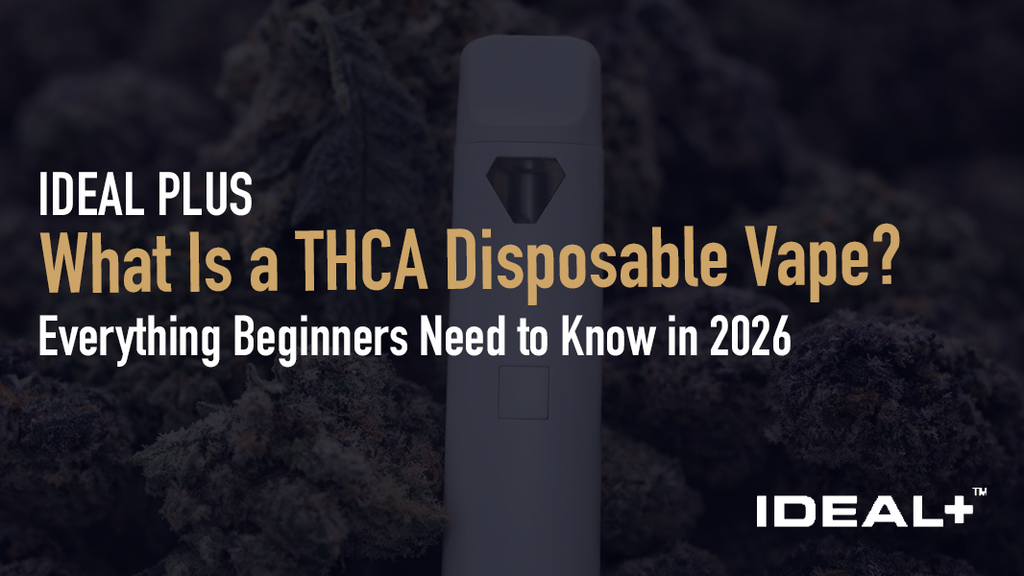 News Tagged "best disposable thc vapes" Ideal Plus News Tagged "best disposable thc vapes" Ideal Plus