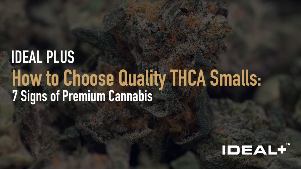How to Choose Quality THCA Smalls