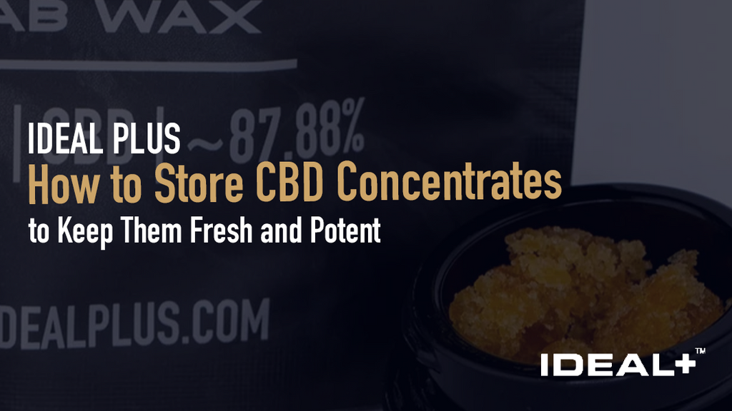 Learn how to store CBD concentrates properly to preserve potency, flavor, and aroma. Discover the best containers, ideal conditions, and signs of degradation to watch for.