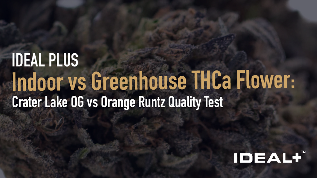 Indoor vs Greenhouse THCa Flower: