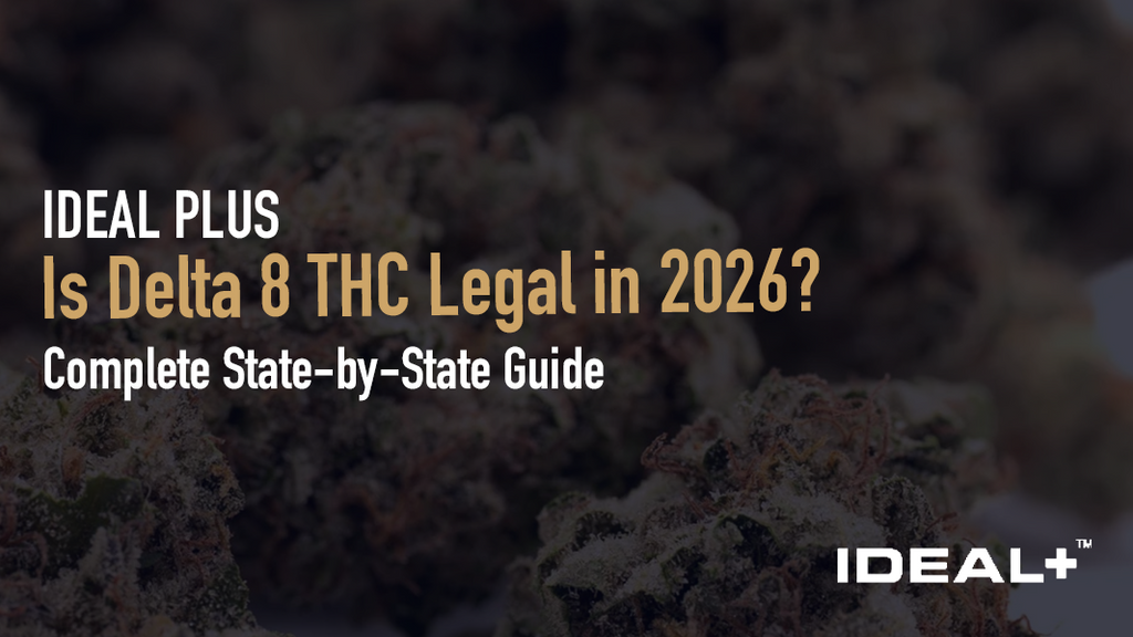 Is delta 8 legal in your state? Get the full breakdown of delta 8 THC laws, federal status, state-by-state legality, and how THCA flower compares in 2026.