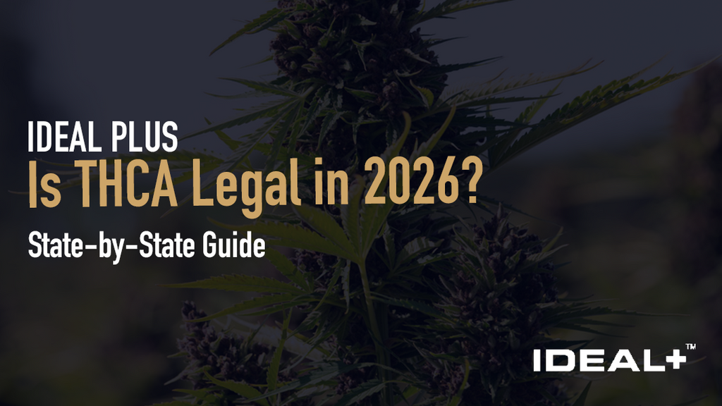 THCA legality varies by state in 2026. See which states allow THCA flower, which have banned it, and what the new federal THC cap means for you.