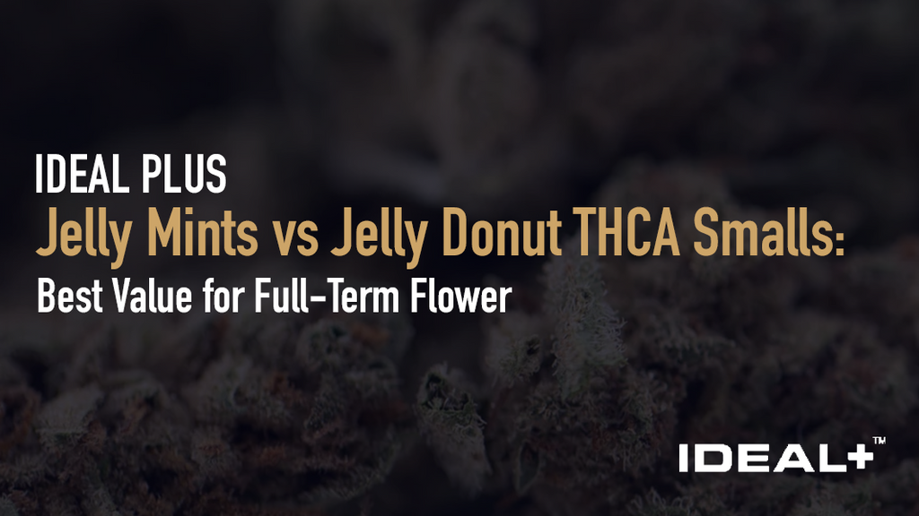 Jelly Mints vs Jelly Donut THCA Smalls