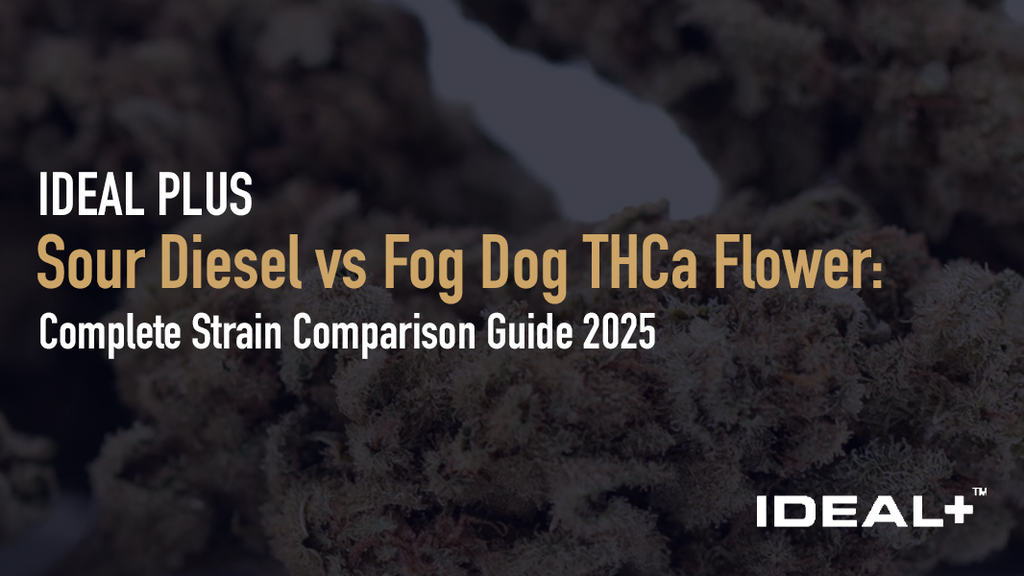 Sour Diesel vs Fog Dog THCa Flower