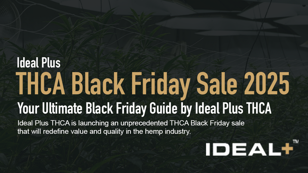THCA Black Friday Sale 2025 - Your Ultimate Black Friday Guide by Ideal Plus THCA