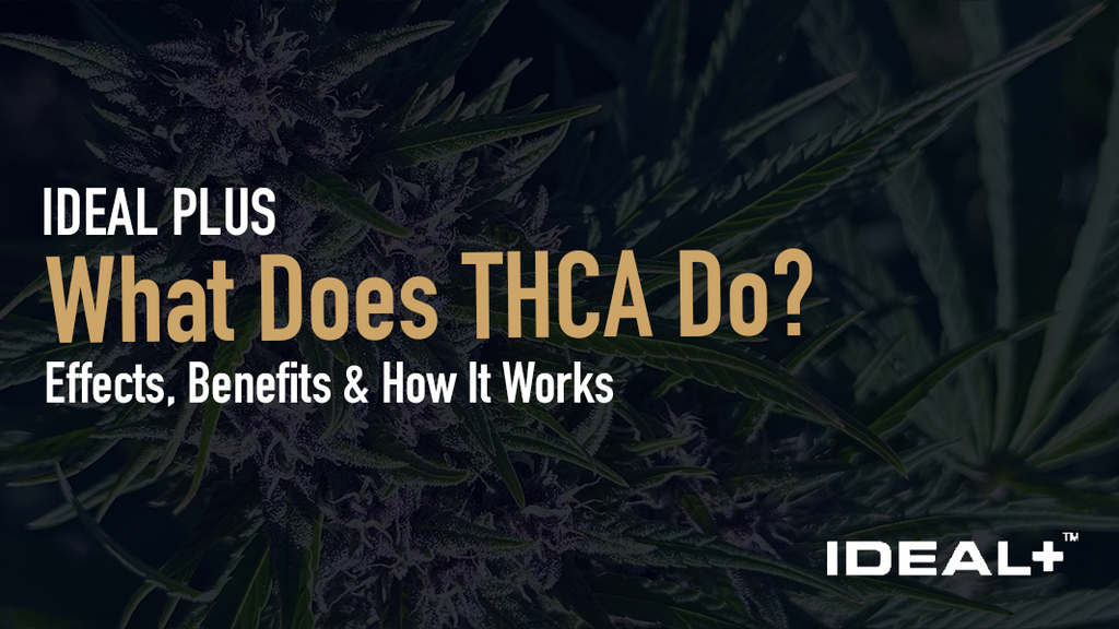 A comprehensive guide to understanding THCA, its therapeutic potential, and why it's becoming one of the most talked-about cannabinoids in hemp wellness.