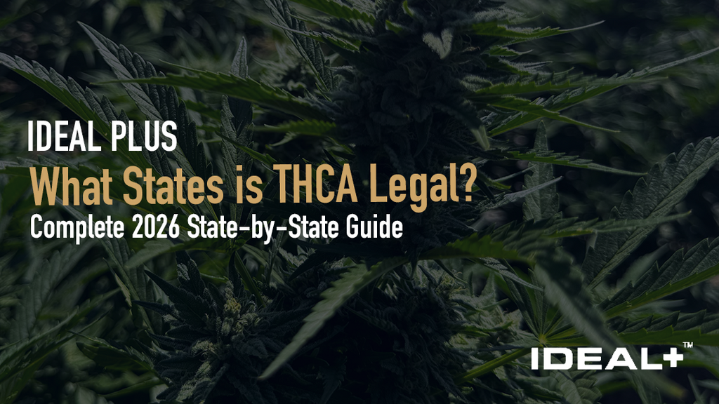 What States is THCA Legal? Complete 2026 State-by-State Guide