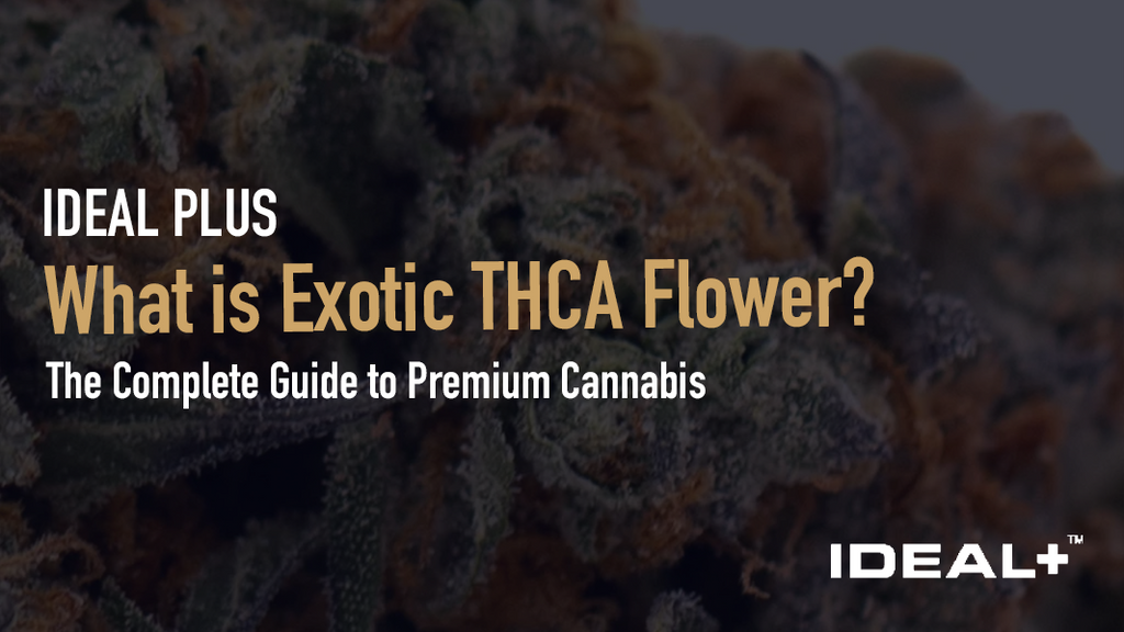 What is Exotic THCA Flower? The Complete Guide to Premium Cannabis