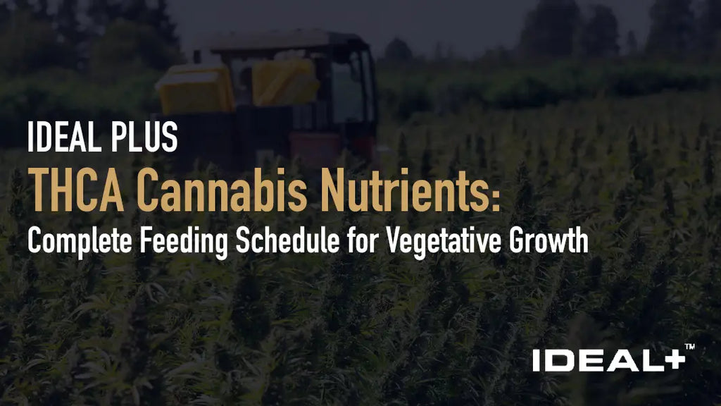THCA Cannabis Nutrients