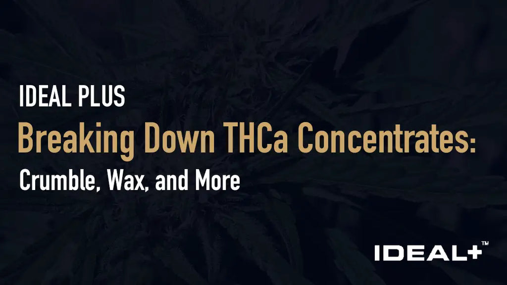 Breaking Down THCa Concentrates: Crumble Wax and More