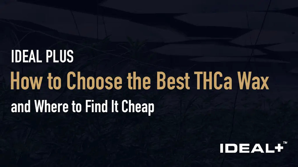 How to Choose the Best THCa Wax (and Where to Find It Cheap)