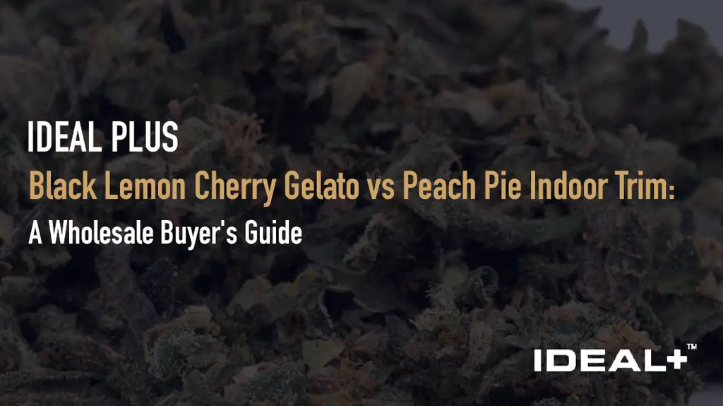 Black Lemon Cherry Gelato vs Peach Pie Indoor Trim