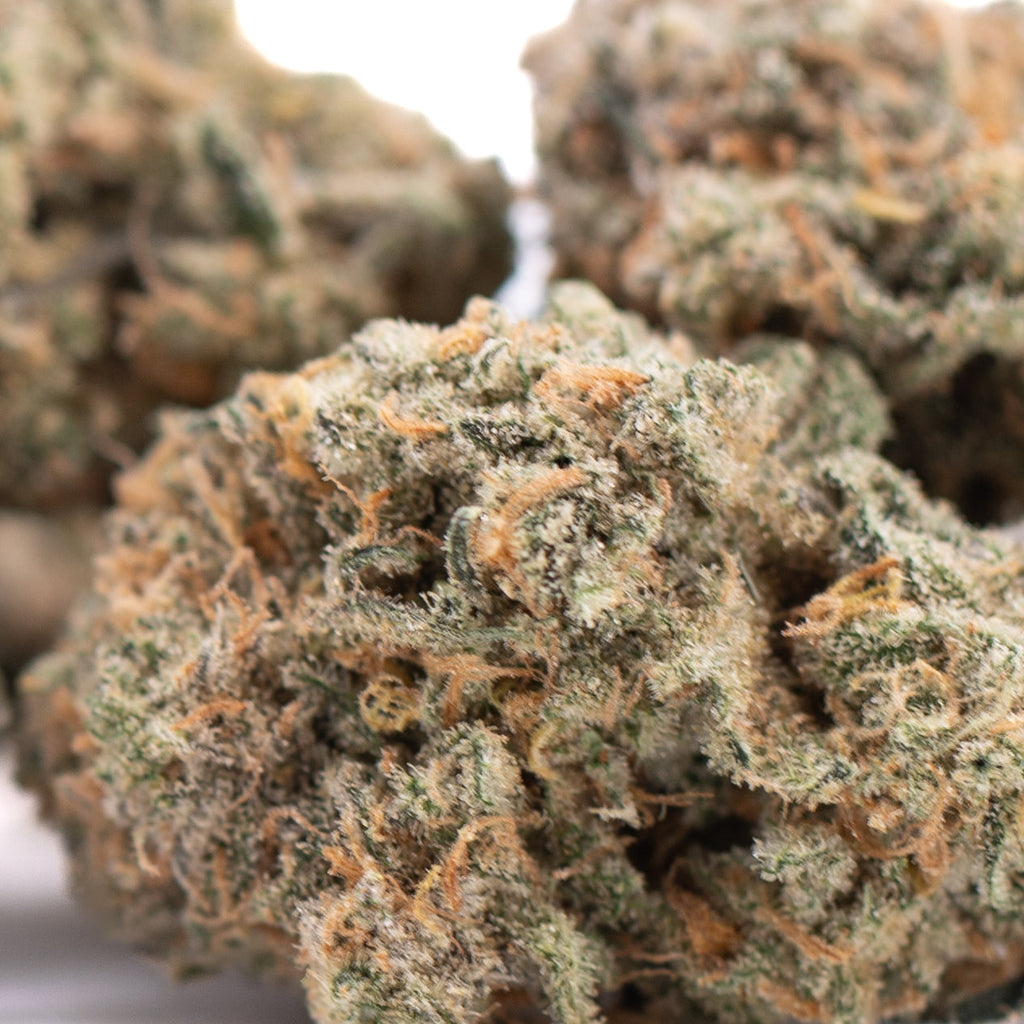 Alaskan Huckleberry Diesel Indoor THCa Flower