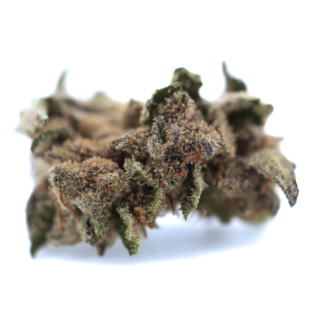 Bahama Bussdown THCa Hemp Flower Greenhouse Smalls