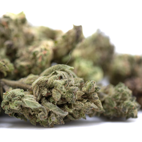 Banjerine THCa Flower Smalls Full-Term Wholesale