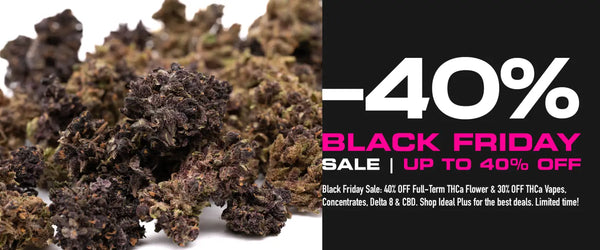 THCA BLACK FRIDAY SALE