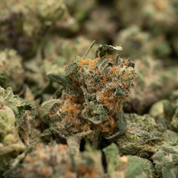 The Discovery of THCA