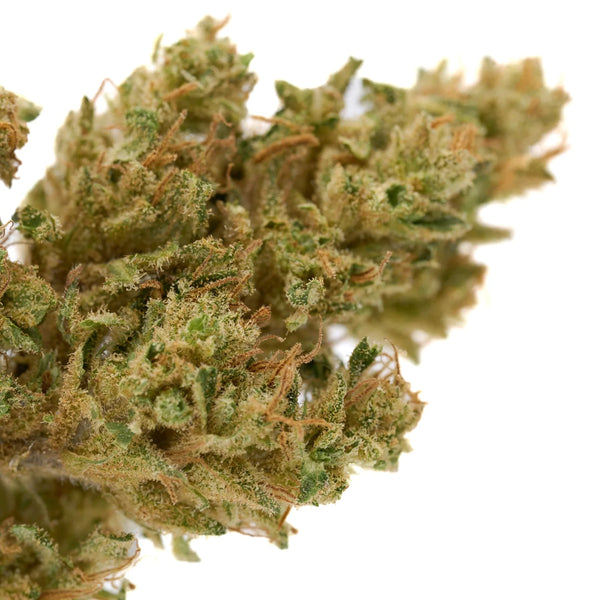 When Was CBD Discovered?