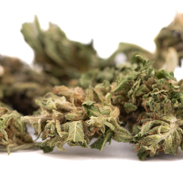 Early Trump CBD Hemp Flower Full-Term Smalls Wholesale