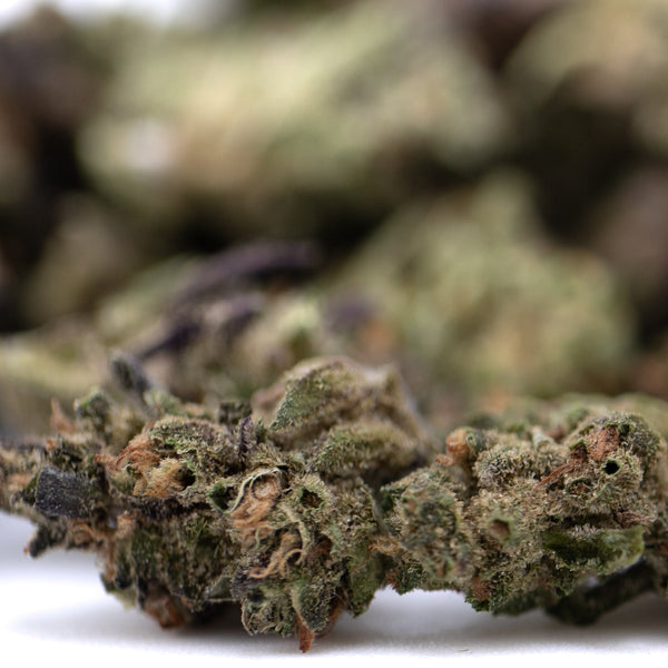 GMO THCa Flower Smalls Full-Term