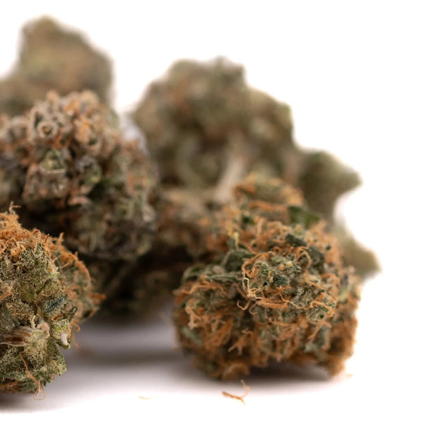 Orange THCA Flower Strains
