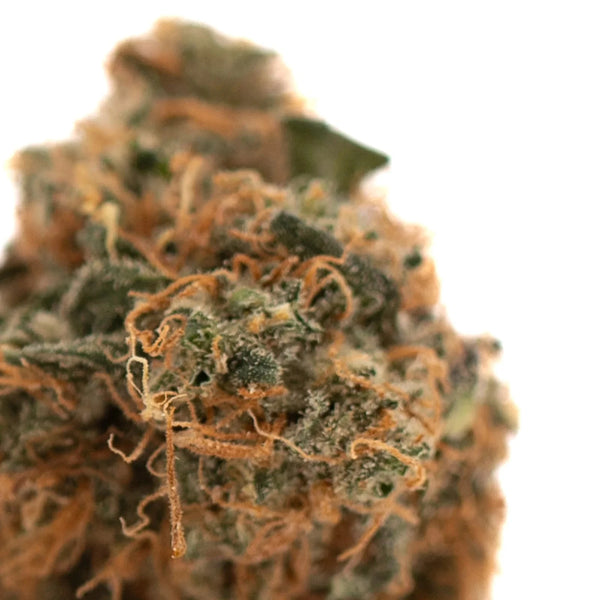 Orange THCA Flower Strains