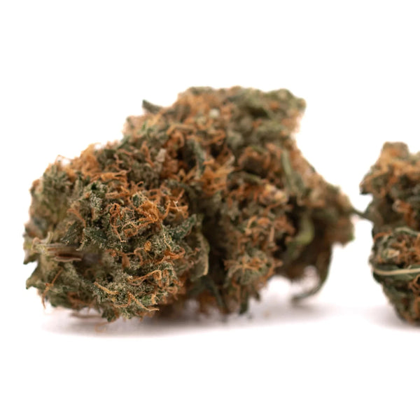 Orange THCA Flower Strains