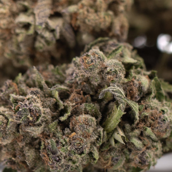 Giggle Gas THCa Hemp Flower Greenhouse Wholesale