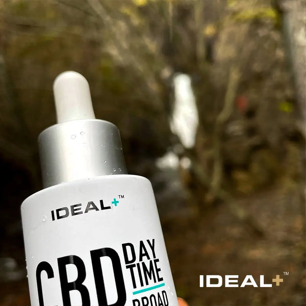 How Does CBD Oil Work?