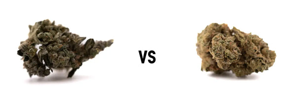 Indoor vs outdoor