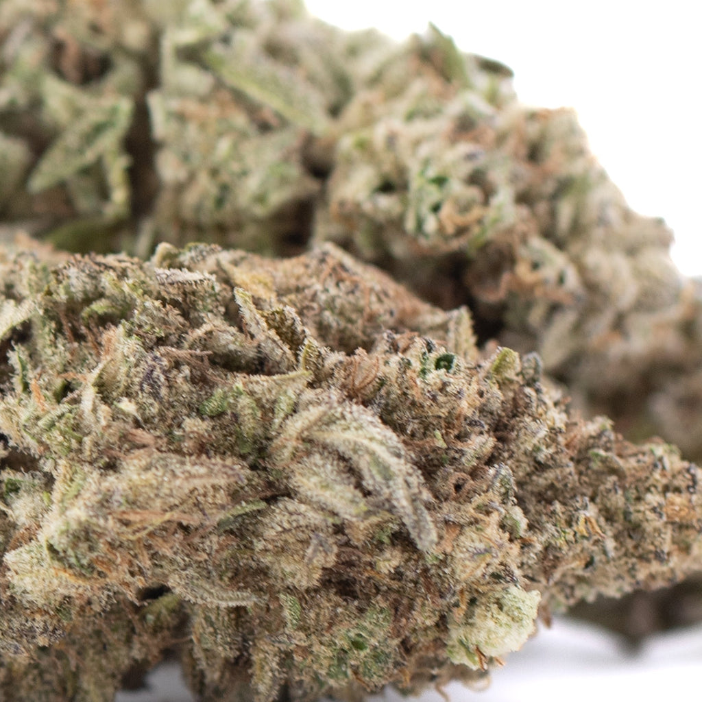 JOY THCa Hemp Flower Greenhouse Wholesale