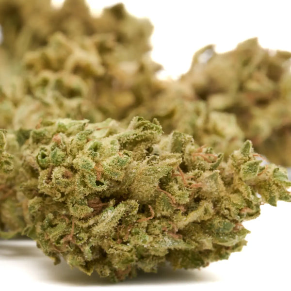 How to Tell When CBD Buds Are Ready to Harvest