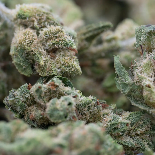 THCA Flower Terpenes Explained