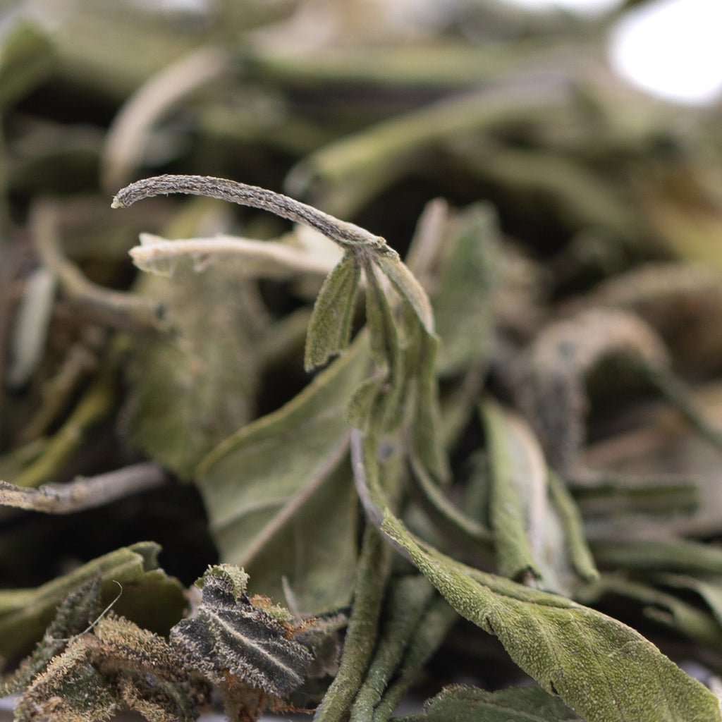 Orange Runtz Greenhouse THCa Trim Wholesale