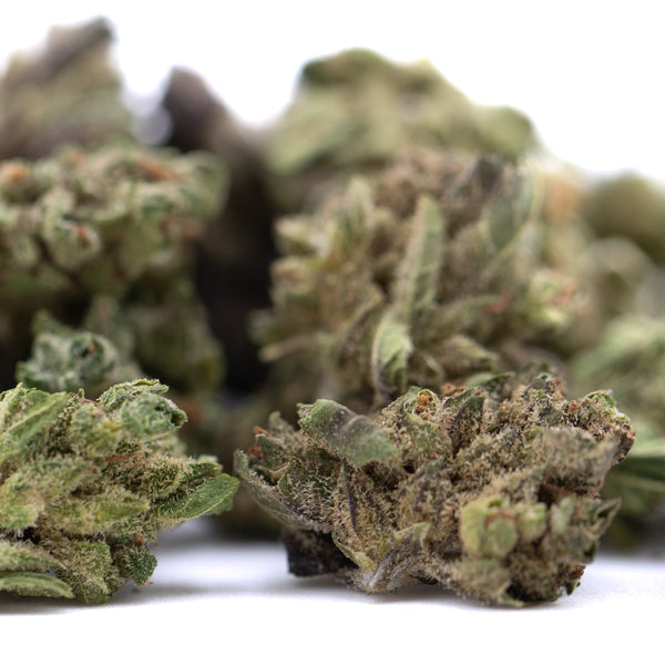 Pound Town THCa Flower Smalls Full-Term