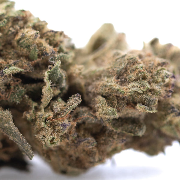 Royal Highness THCa Flower Full-Term