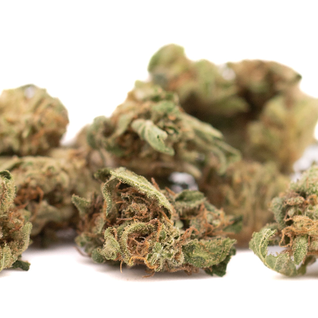 Sour Brûlée CBD Hemp Flower Full-Term Smalls Wholesale