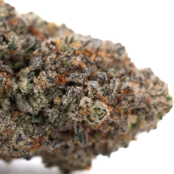 Tropical Punch Indoor THCa Flower