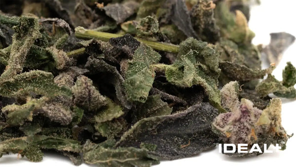 What is THCA Trim? 