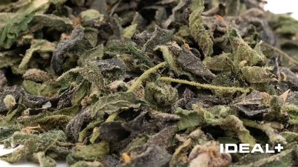 What is THCA Trim?