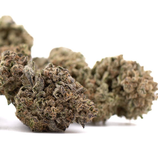 Premium Black Ice THCa hemp flower bud with dense trichomes for physical relaxation