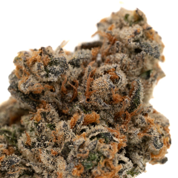 Dense Cadillac Rainbow THCa Indoor Flower bud with orange hairs and frosty trichomes
