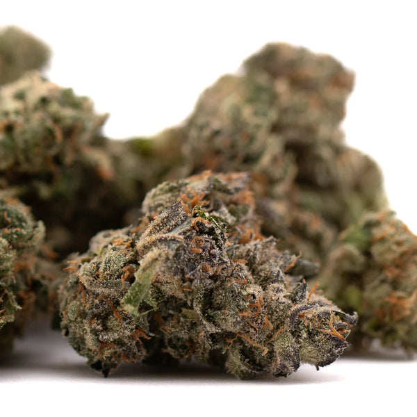 Hooch Indoor THCa Flower vs Canal Street Runtz