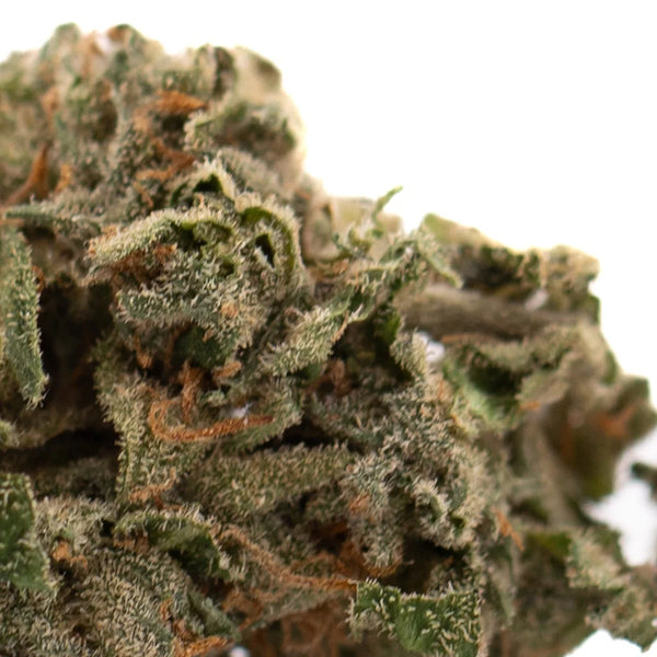 Hooch Indoor THCa Flower vs Canal Street Runtz