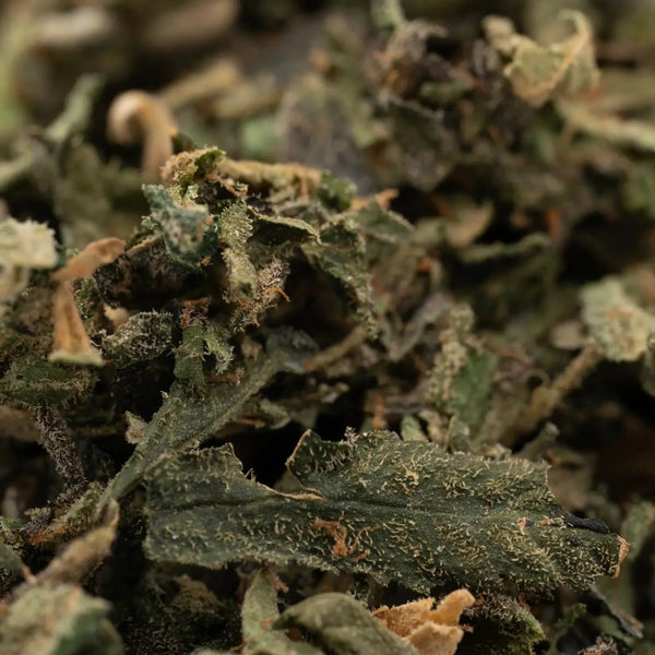 The Discovery of THCA