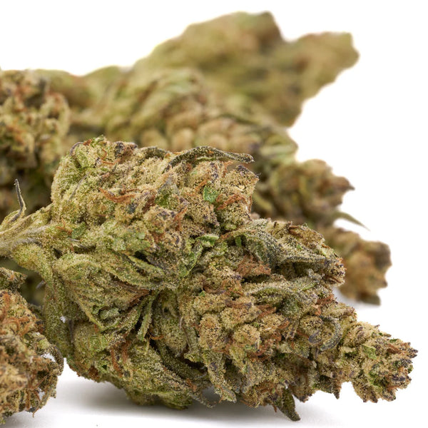 Chimera Greenhouse THCa vs Tropical Paradise Indoor