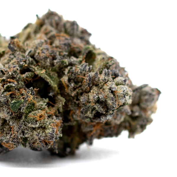 Dense Dark Jokerz Indoor THCa Flower bud showcasing vibrant purple hues